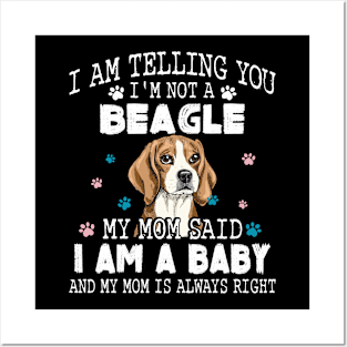 I am telling you, I'm not a beagle,My mom said I am a baby Posters and Art